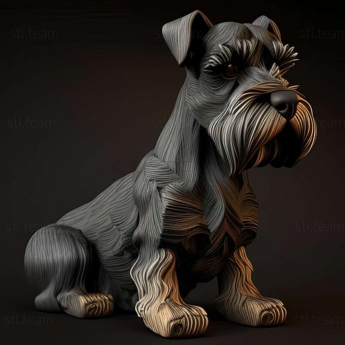 Animals Zwergschnauzer dog